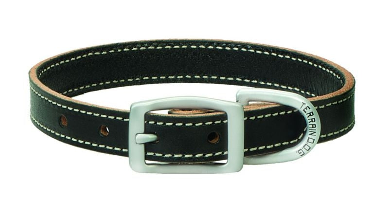 Weaver Terrain Dog Straight Collar