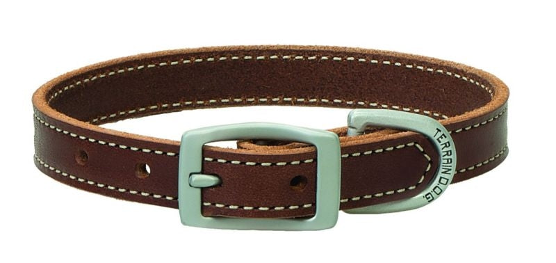 Weaver Terrain Dog Straight Collar