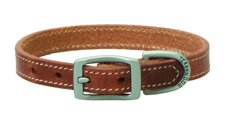 Weaver Terrain Dog Straight Collar