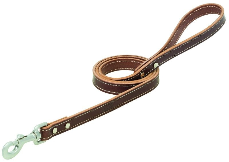 Weaver Terrain Dog Bridle Leather Leash