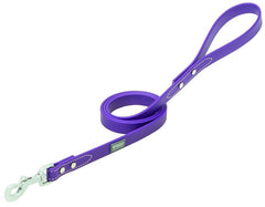 Weaver Terrain Dog Brahma Webb Leash