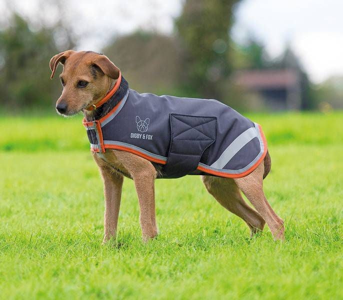 Shires Digby & Fox Waterproof Dog Coat