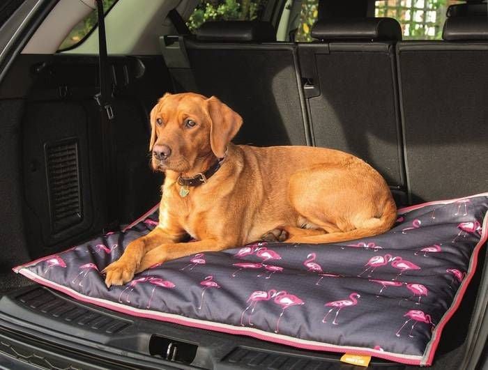 Shires Digby & Fox Waterproof Dog Bed