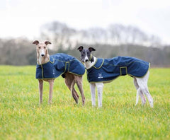 Shires Digby & Fox Softshell Greyhound Coat