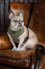 Shires Digby & Fox Tweed Dog Harness