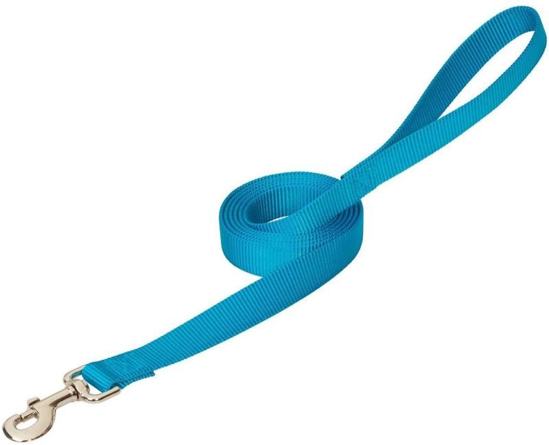 Weaver Prism Choice Nylon Leash