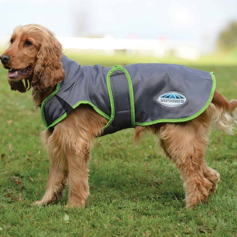 Weatherbeeta Comfitec Windbreaker Free Deluxe Dog Coat