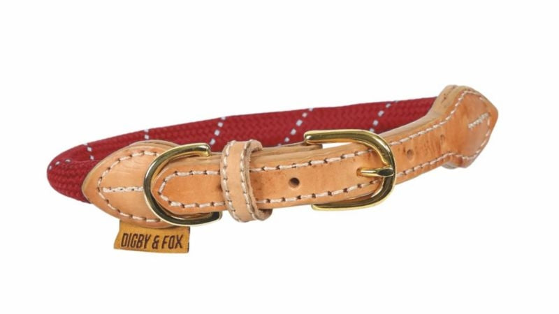 Shires Digby & Fox Reflective Dog Collar