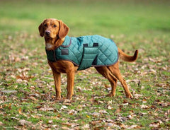 Shires Digby & Fox Quilted Dog Coat