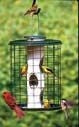 Mixed Seed Bird Feeder 1inx1inx1.5in Hnt Grn