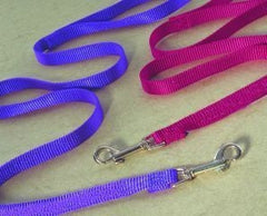 Nylon Lead For Dogs 4 Ft Hot Purple
