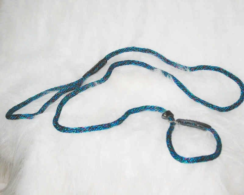 Polyrope Dog Quick Lead Combo 5/16 X6 Blue/Green