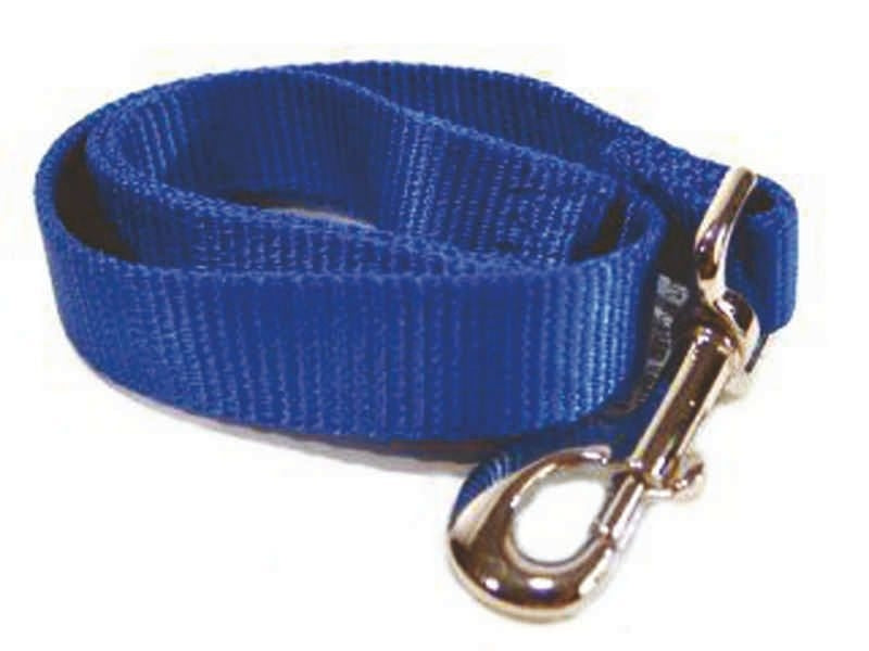 Lead Single Loop Nylon with swivel snap