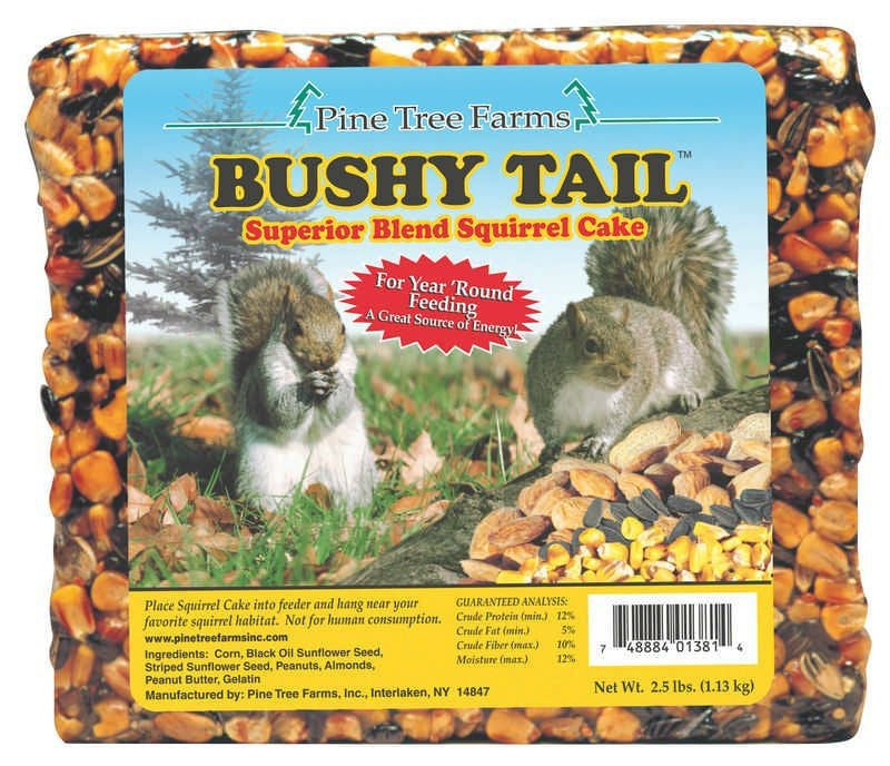 Pine Tree Farms Bushy Tail Squirrel Cake 2.5lb