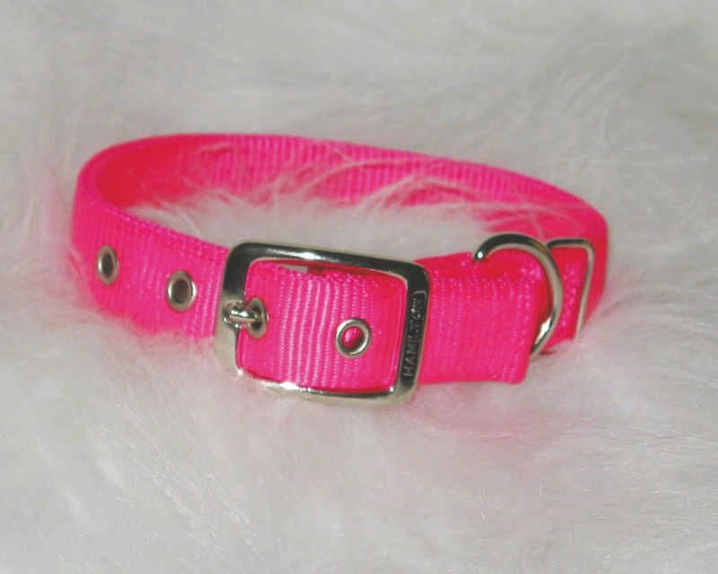 Hamilton Deluxe Double Thick Nylon Dog Collar