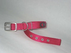 Hamilton Durable Double Thick Nylon Dog Collar