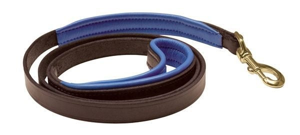 Perri's Padded Leather Dog Leash