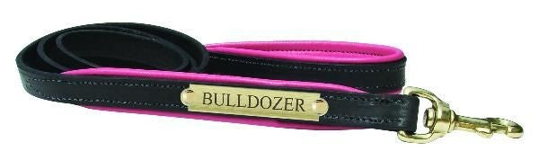 Perri's Padded Leather Dog Leash