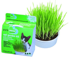 Oat Cat Grass Garden Kit