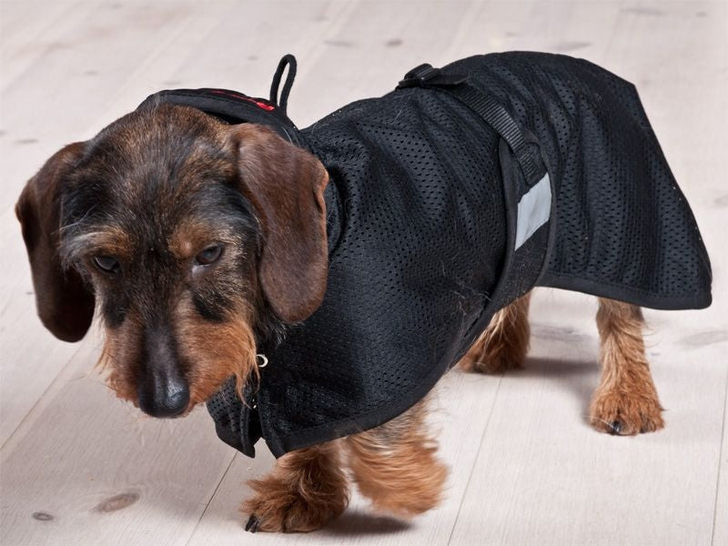 Back On Track Dachshund Mesh Dog Coat