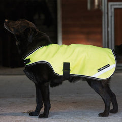 Rambo Reflective Dog Rug