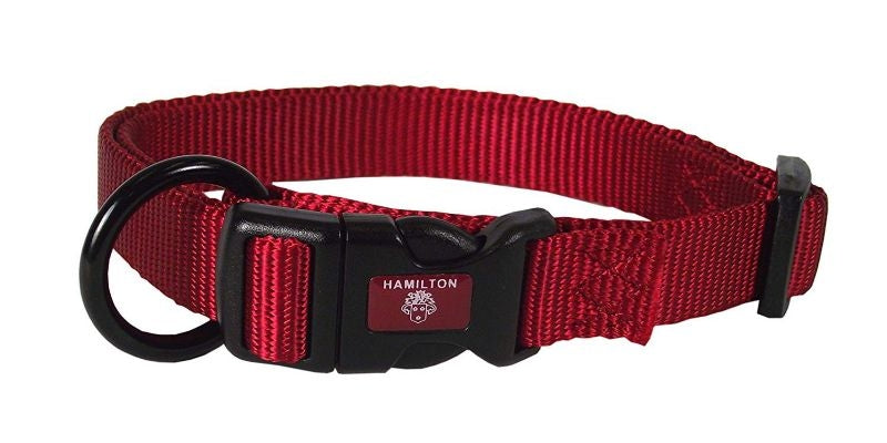 Hamilton Adjustable Dog Collar