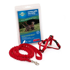 Petsafe Come With Me Kitty Harness & Bungee Leash