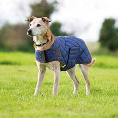 Shires Digby & Fox Quilted Dog Coat