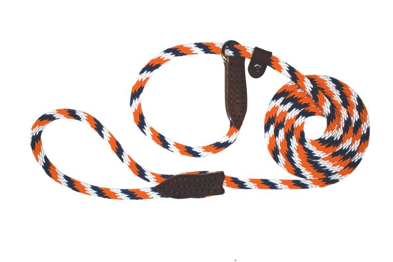 Slip Lead for Dogs