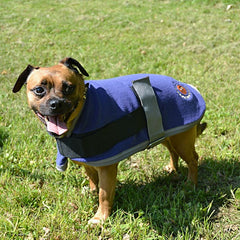 Halo Aspen Fleece Dog Coat