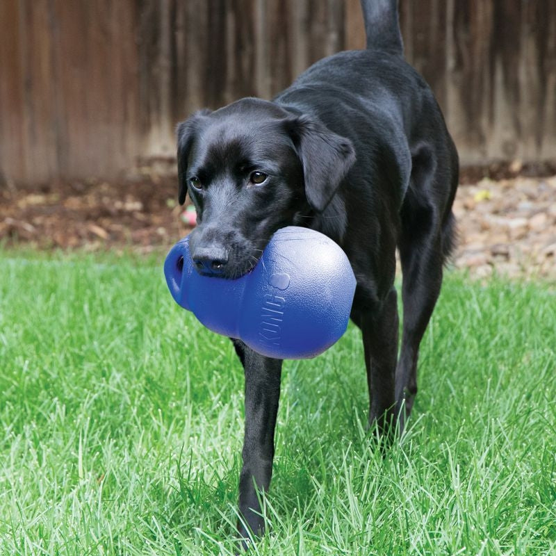 KONG Bounzer Ultra Dog Toy