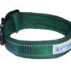 Baydog Tampa Dog Collar