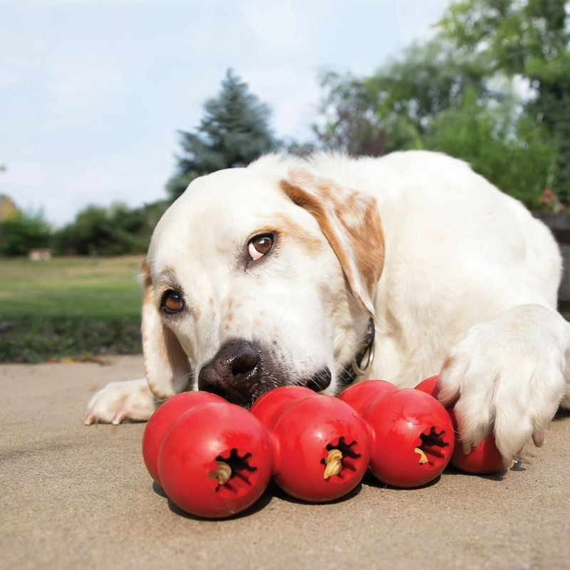 KONG Goodie Ribbon Dog Toy