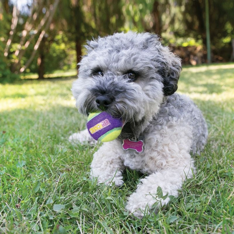 KONG CrunchAir Ball Dog Toy