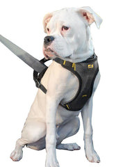 Kurgo Impact Dog Seatbelt Harness