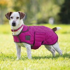 Shires Digby & Fox Quilted Dog Coat