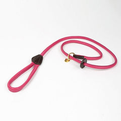 Shires Digby & Fox Rolled Leather Slip Dog Lead