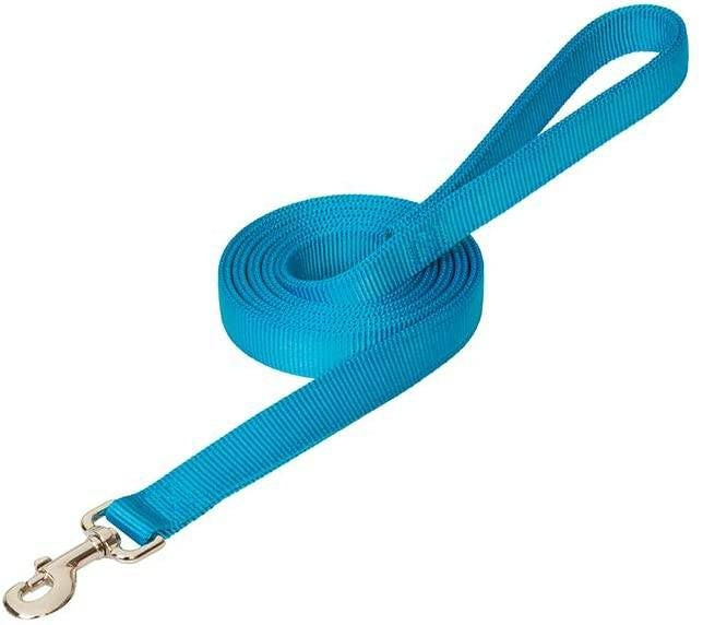 Weaver Prism Classic Nylon Leash