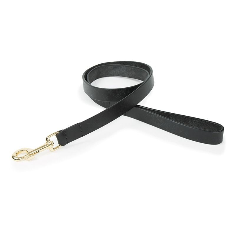 Shires Digby & Fox Flat Leather Dog Lead