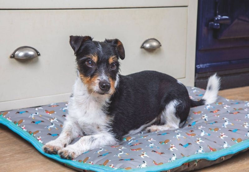 Shires Digby & Fox Waterproof Dog Bed