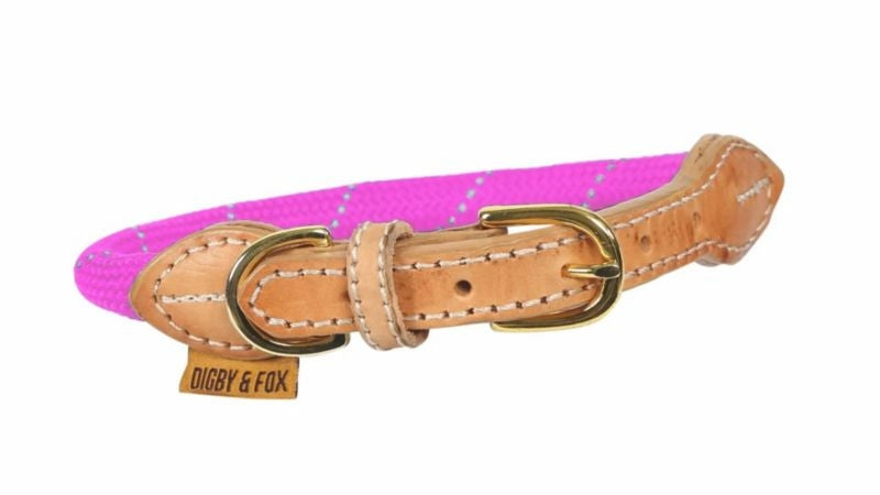 Shires Digby & Fox Reflective Dog Collar