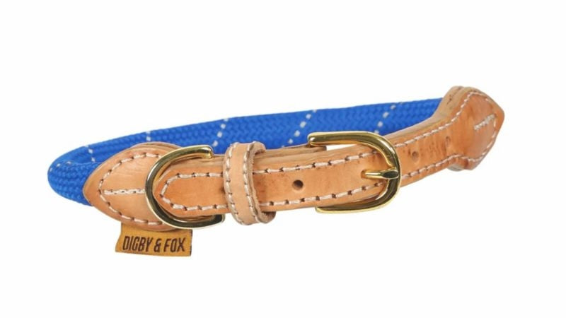 Shires Digby & Fox Reflective Dog Collar