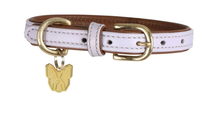 Shires Digby & Fox Padded Leather Dog Collar