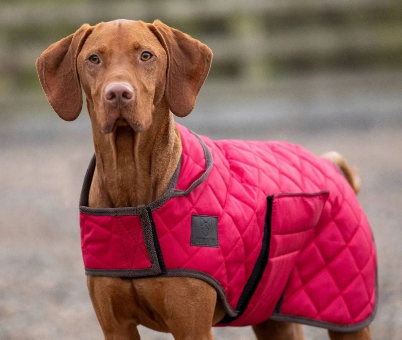 Shires Digby & Fox Quilted Dog Coat