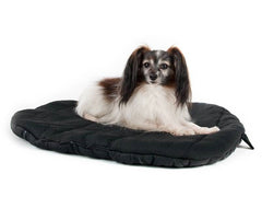 Back On Track Therapeutic Dog Travel Bed