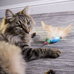 Smartykat Hum Singer Electronic Sound Cat Toy