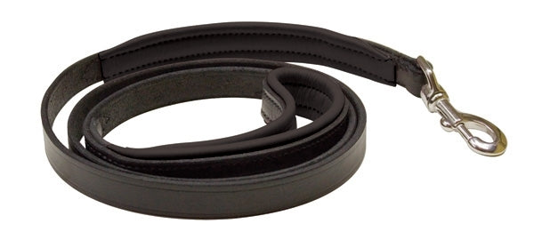 Perri's Padded Leather Dog Leash