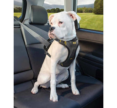 Kurgo Impact Dog Seatbelt Harness